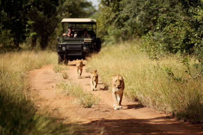 South Africa – The Highlights Reel – 9 Nights 10 Days